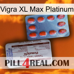 Vigra Xl Max Platinum 36